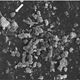 Illustration for article titled Answer Key: Metal Band or Microbe?